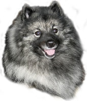 Bonny van't Kezenhoeveke