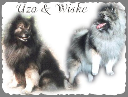 Uzo and Wiske