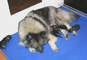 Lexy & Aaike