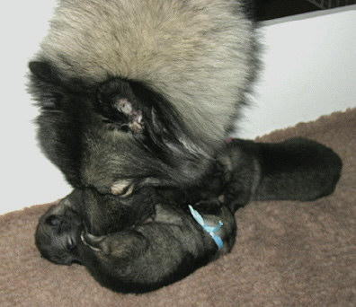 Lexy & Aaike