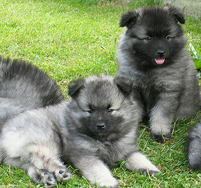 Lexy & Aaike