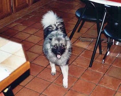 Evita van't kezenhoeveke