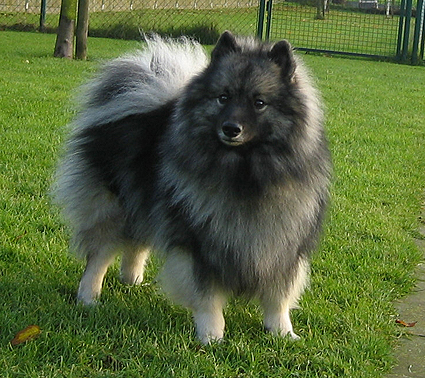 Bonny