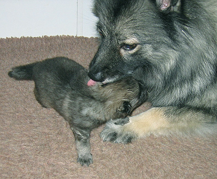 Fientje & Aaike