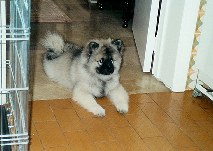 Grishka van't Kezenhoeveke