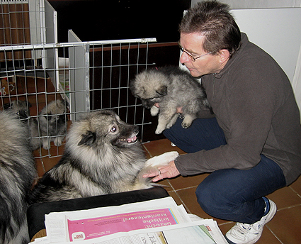 donske & patrick
