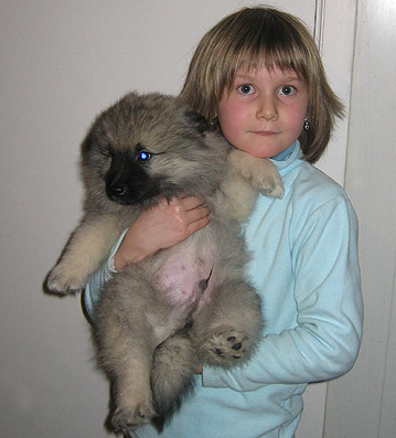 donske & patrick