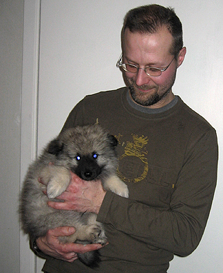 donske & patrick