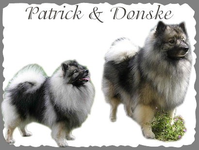 Patrick & Donske