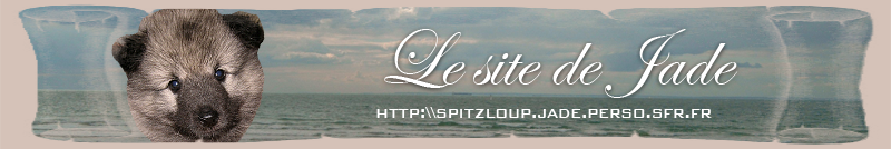 http://spitzloup.jade.perso.sfr.fr