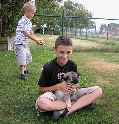 Major & Donske