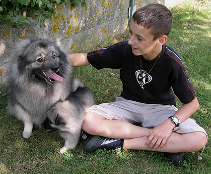 Major & Donske
