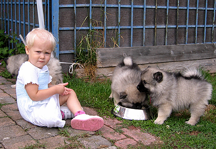 Major & Donske