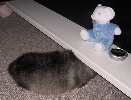 Rocky&Donske