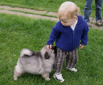 Rocky&Donske