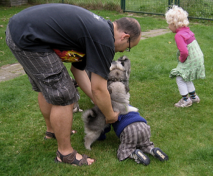Rocky&Donske