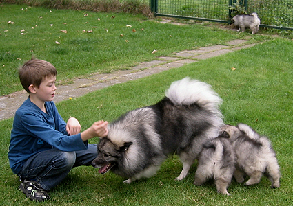 Rocky&Donske
