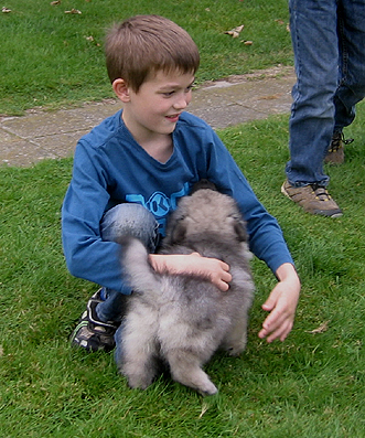 Rocky&Donske