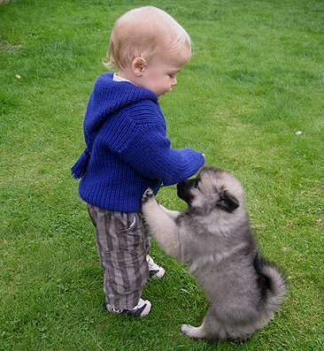 Rocky&Donske