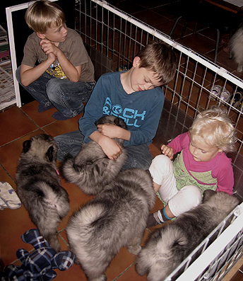 Rocky&Donske
