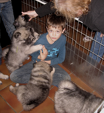 Rocky&Donske