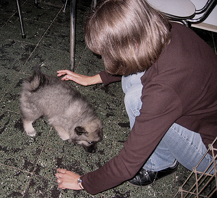 Rocky&Donske