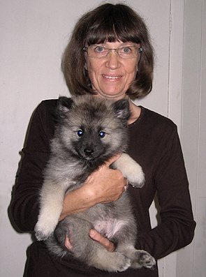 Rocky&Donske