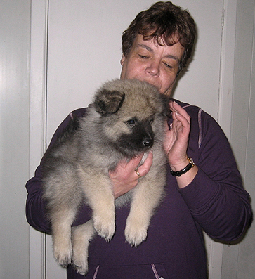 Rocky&Donske