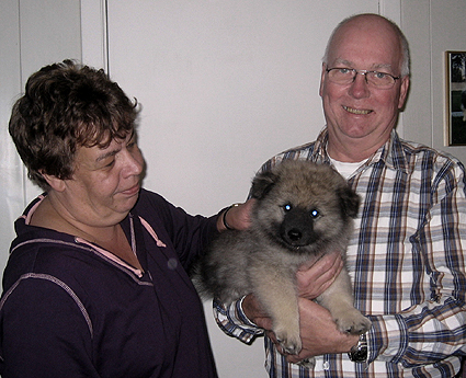 Rocky&Donske