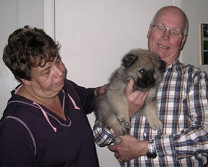 Rocky&Donske