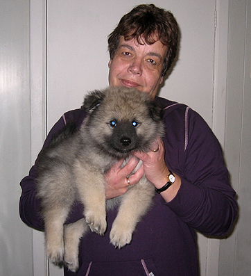 Rocky&Donske