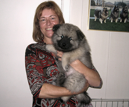 Rocky&Donske