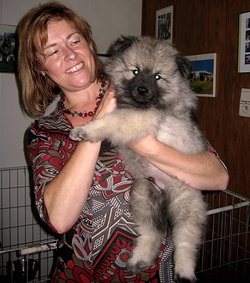 Rocky&Donske
