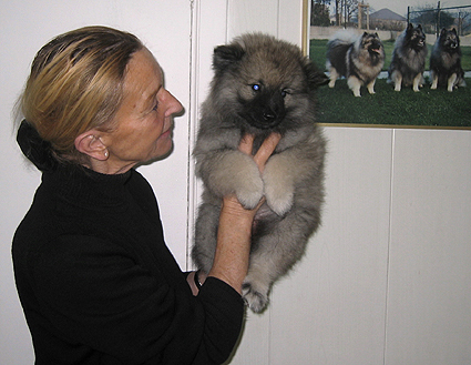 Rocky&Donske