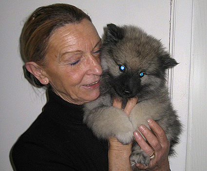 Rocky&Donske