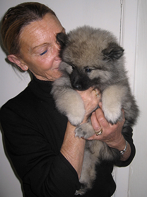 Rocky&Donske
