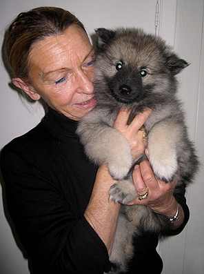 Rocky&Donske