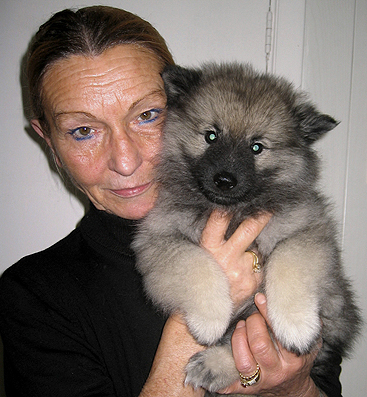 Rocky&Donske