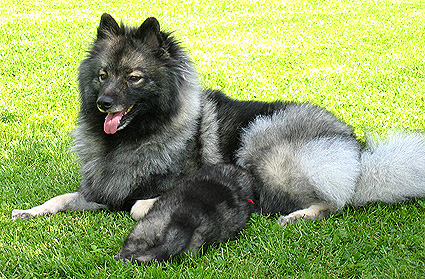 mama Aaike / Mutti Aaike