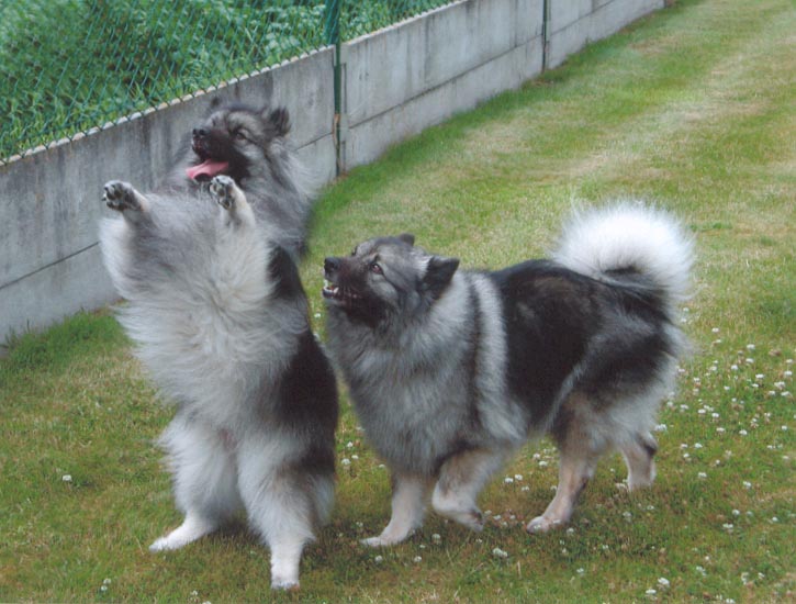 Links: Wiske Rechts: vriendin Sarah / Links Wiske  Rechts: Freundin Sarah
