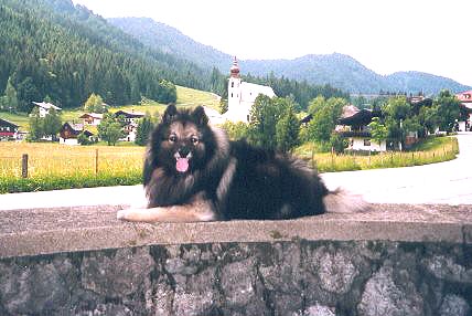 Tobias op vakantie: Waidring, Tirol, Oostenrijk / Tobias auf Ferien: Waidring, Tirol, sterreich