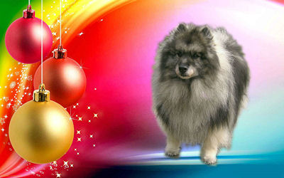 Wiske