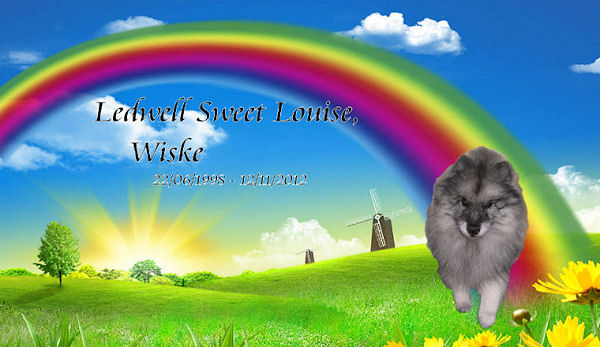 Wiske